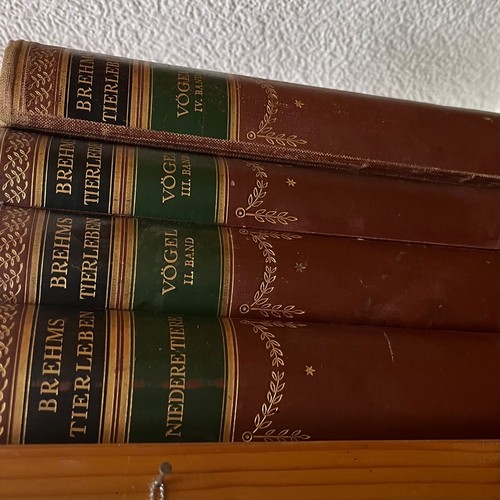 Bücherpaket von 1925 brehms - bücherpaket,