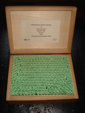 Sehr rar - Thomas Mann -