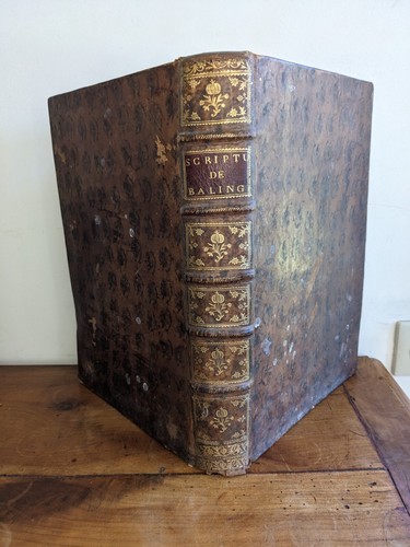 Antikes buch scriptura sacra - antikes,