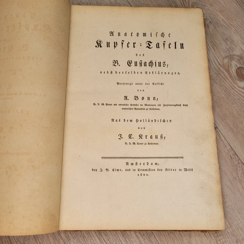 Anatomische kupfer tafeln - anatomische, des